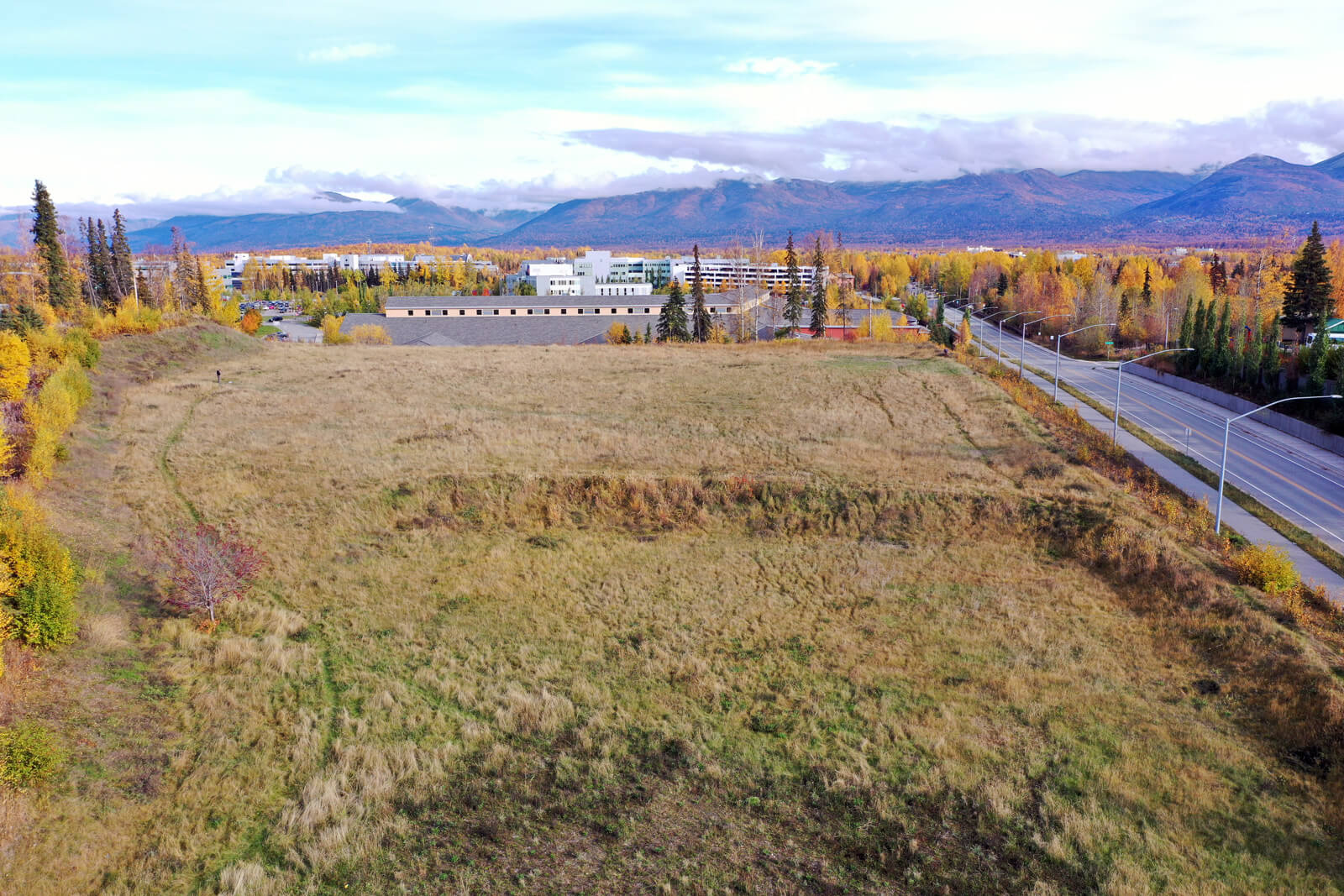 Aerial view of a lush green field with scattered trees and distant mountains on the horizon.
