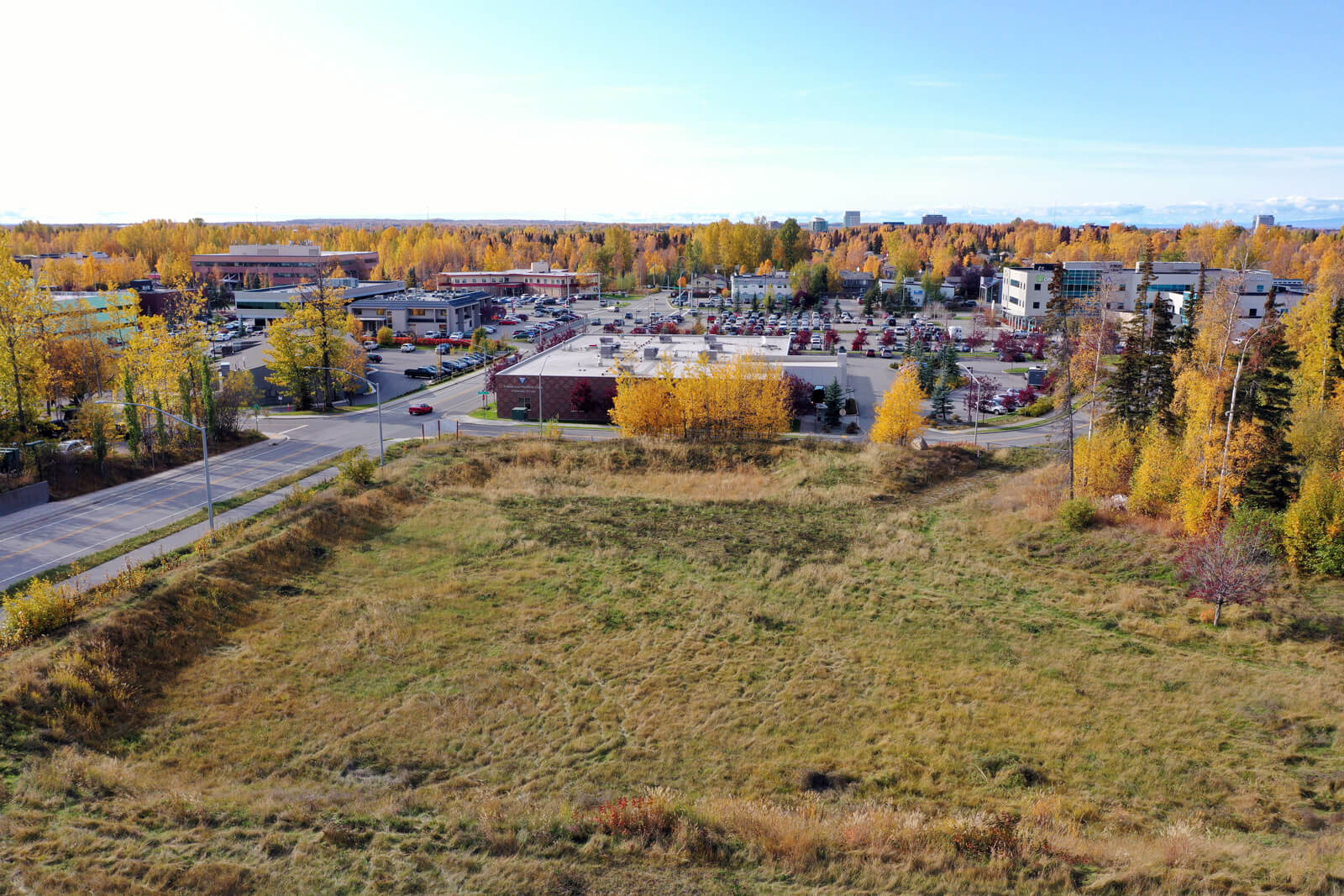 Aerial view of a lush, green city with numerous trees and buildings.