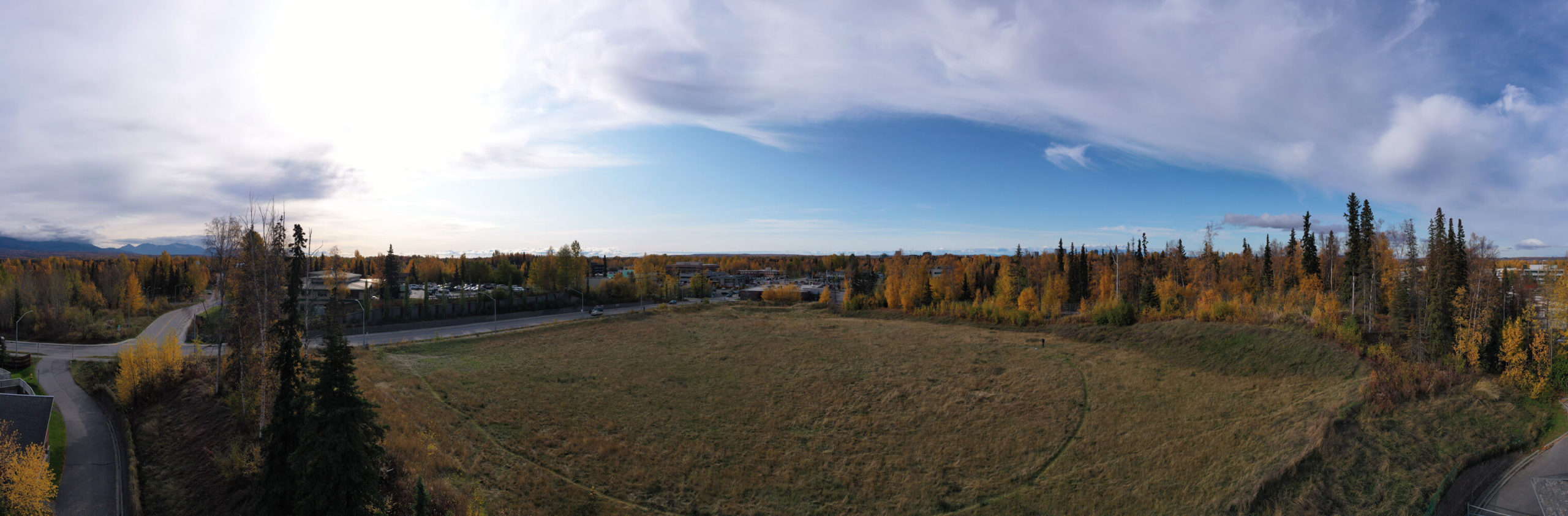 A 360-degree panorama showcasing a lush field surrounded by trees under a clear blue sky.