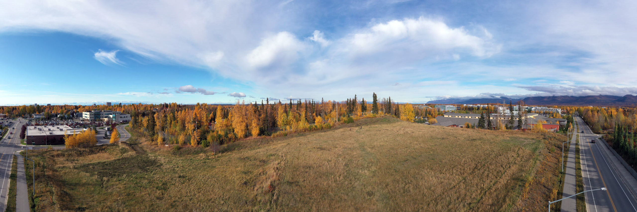 Aerial view of a city street lined with trees, showcasing urban architecture and greenery from above.